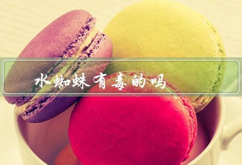 水蜘蛛有毒的吗
