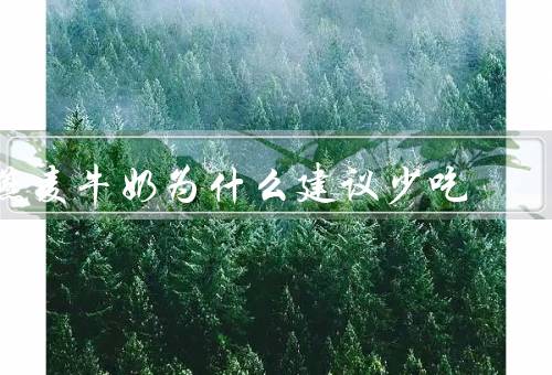 燕麦牛奶为什么建议少吃