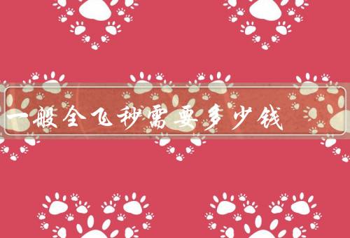 一般全飞秒需要多少钱