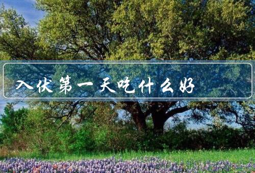 入伏第一天吃什么好