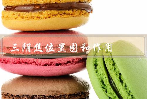 三阴焦位置图和作用，脾肝肾三经交会穴气血调和（附针灸）