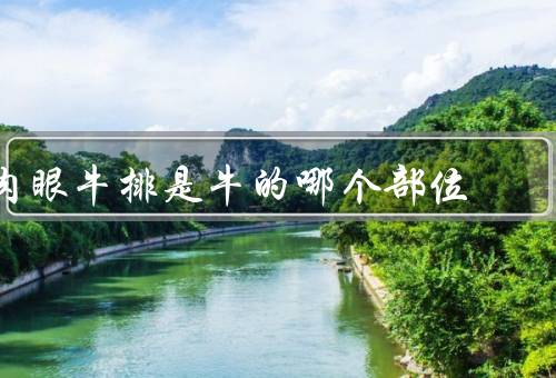 肉眼牛排是牛的哪个部位