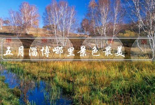 五月淄博哪里景色最美