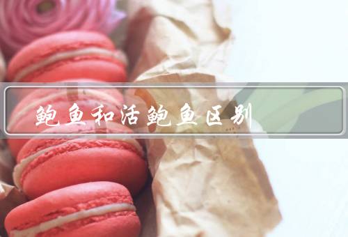 鲍鱼和活鲍鱼区别