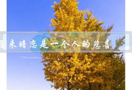 原来暗恋是一个人的悲喜
