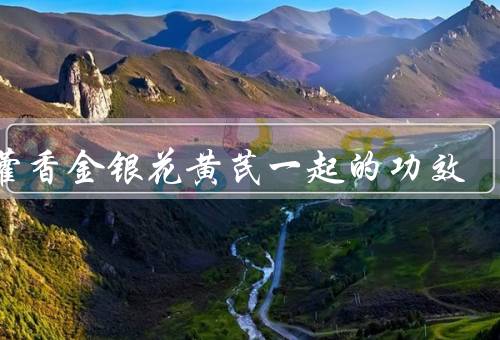 广藿香金银花黄芪一起的功效