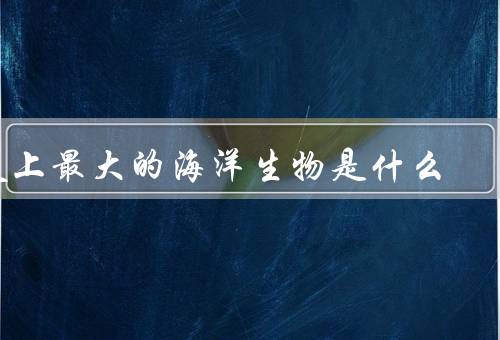 史上最大的海洋生物是什么