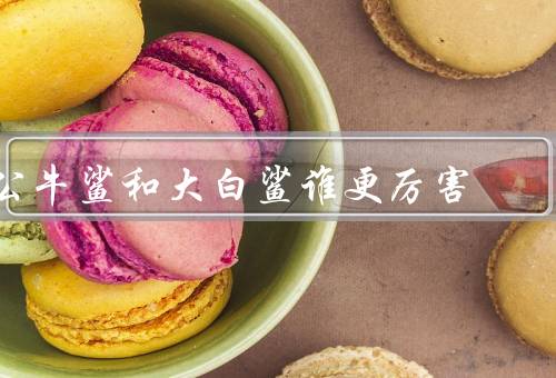公牛鲨和大白鲨谁更厉害
