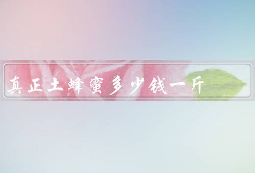 真正土蜂蜜多少钱一斤