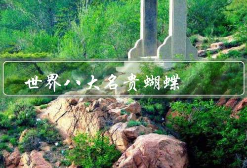 世界八大名贵蝴蝶