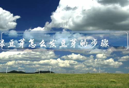 绿豆芽怎么发豆芽的步骤