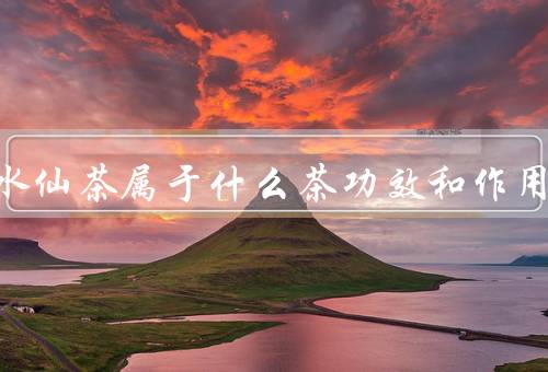 漳平水仙茶属于什么茶功效和作用