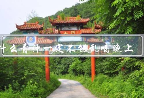 为什么青汁一定不能乱喝晚上