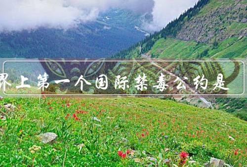 世界上第一个国际禁毒公约是
