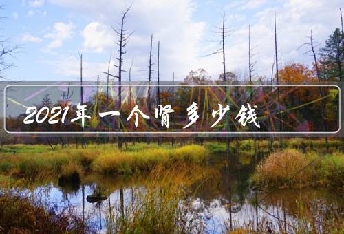 2021年一个肾多少钱