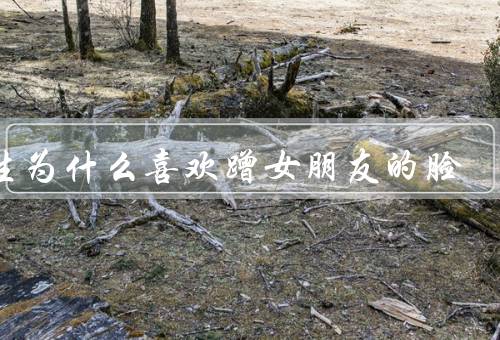 男生为什么喜欢蹭女朋友的脸.3个原因
