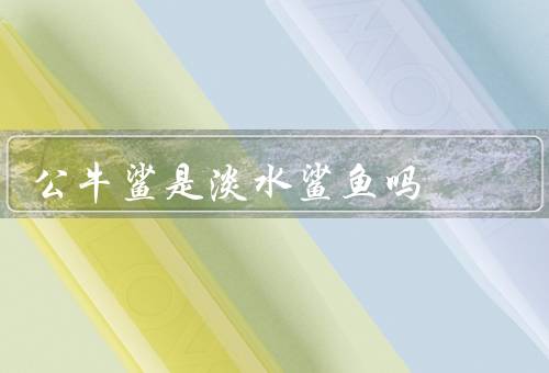公牛鲨是淡水鲨鱼吗