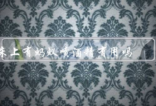 床上有蚂蚁喷酒精有用吗
