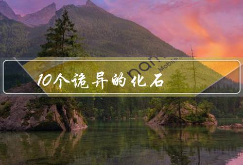 10个诡异的化石，十大怪异化石（体型庞大想象）