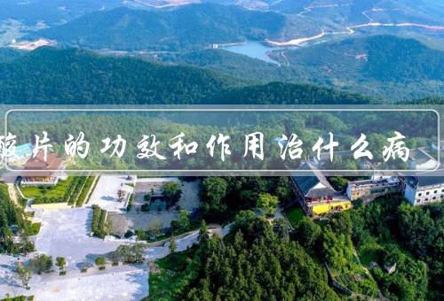叶酸片的功效和作用治什么病