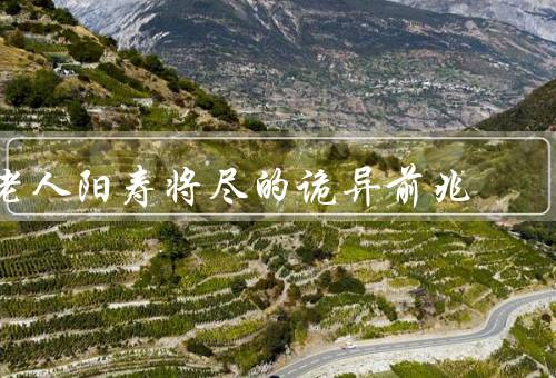 老人阳寿将尽的诡异前兆