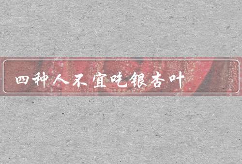 四种人不宜吃银杏叶