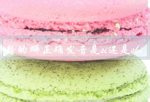 螺蛳粉的蛳正确发音是si还是shi