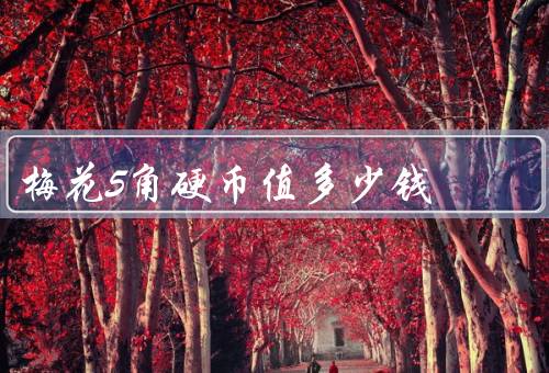 梅花5角硬币值多少钱