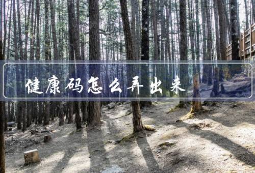 健康码怎么弄出来