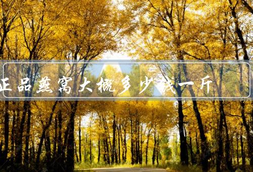 正品燕窝大概多少钱一斤