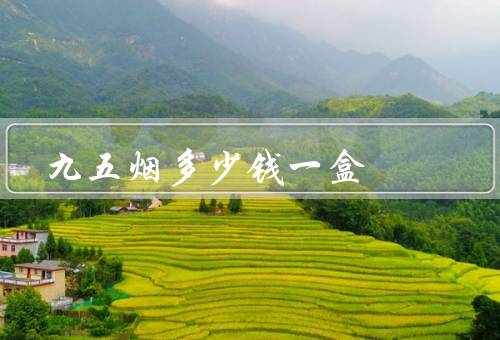 九五烟多少钱一盒