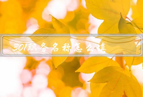 301职务名称怎么填