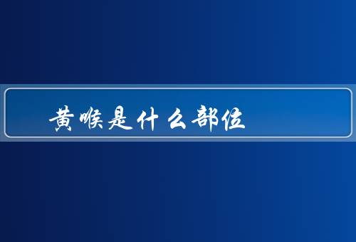 黄喉是什么部位