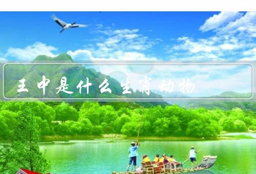 王中是什么生肖动物