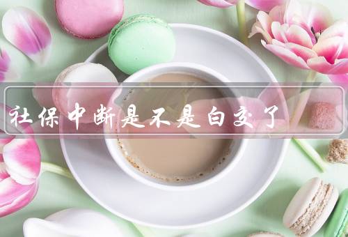 社保中断是不是白交了