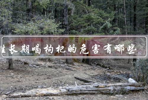 男性长期喝枸杞的危害有哪些