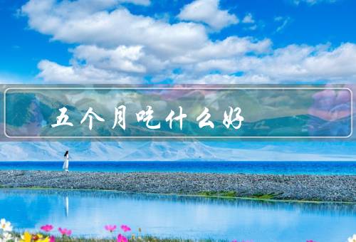 五个月吃什么好