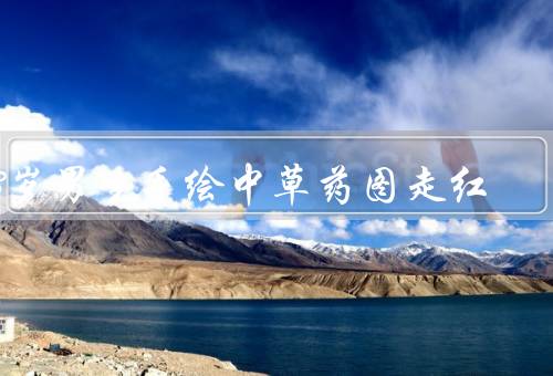 13岁男生手绘中草药图走红