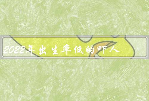 2022年出生率低的吓人