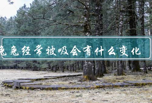 小兔兔经常被吸会有什么变化