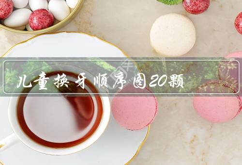 儿童换牙顺序图20颗