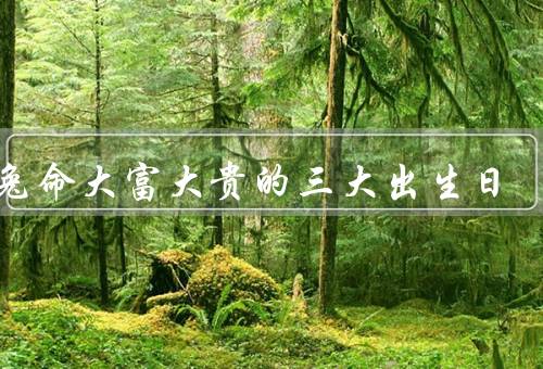 属兔命大富大贵的三大出生日