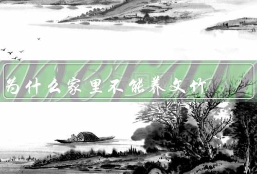 为什么家里不能养文竹
