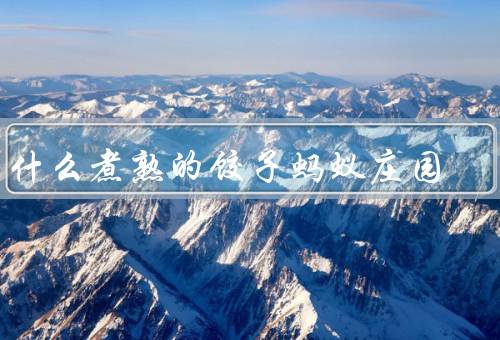 为什么煮熟的饺子蚂蚁庄园