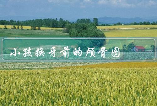 小孩换牙前的颅骨图，深度揭秘换牙过程（胆小勿看）优质