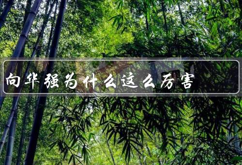 向华强为什么这么厉害