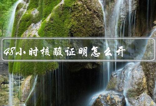 48小时核酸证明怎么开