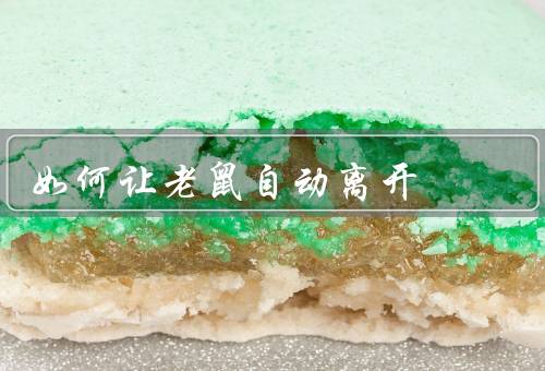 如何让老鼠自动离开