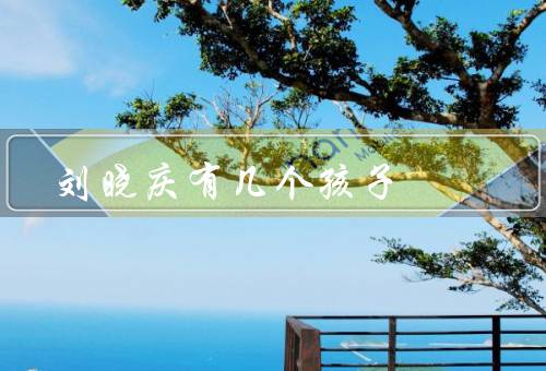 刘晓庆有几个孩子