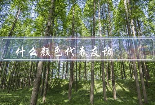 什么颜色代表友谊